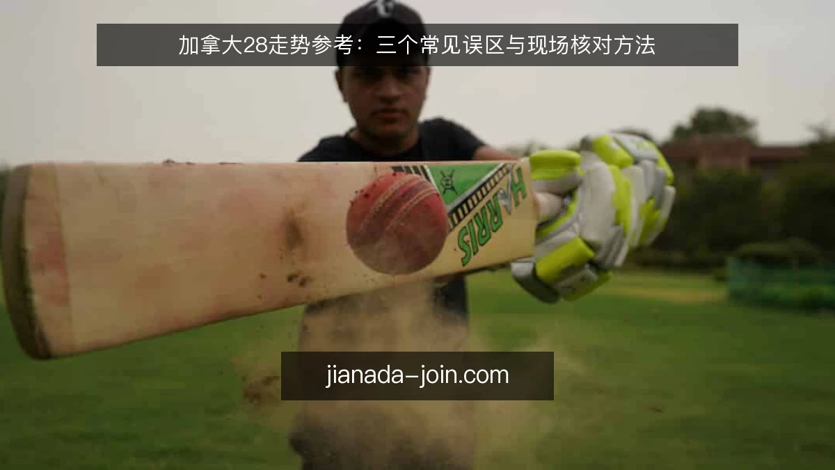 加拿大28走势参考：三个常见误区与现场核对方法