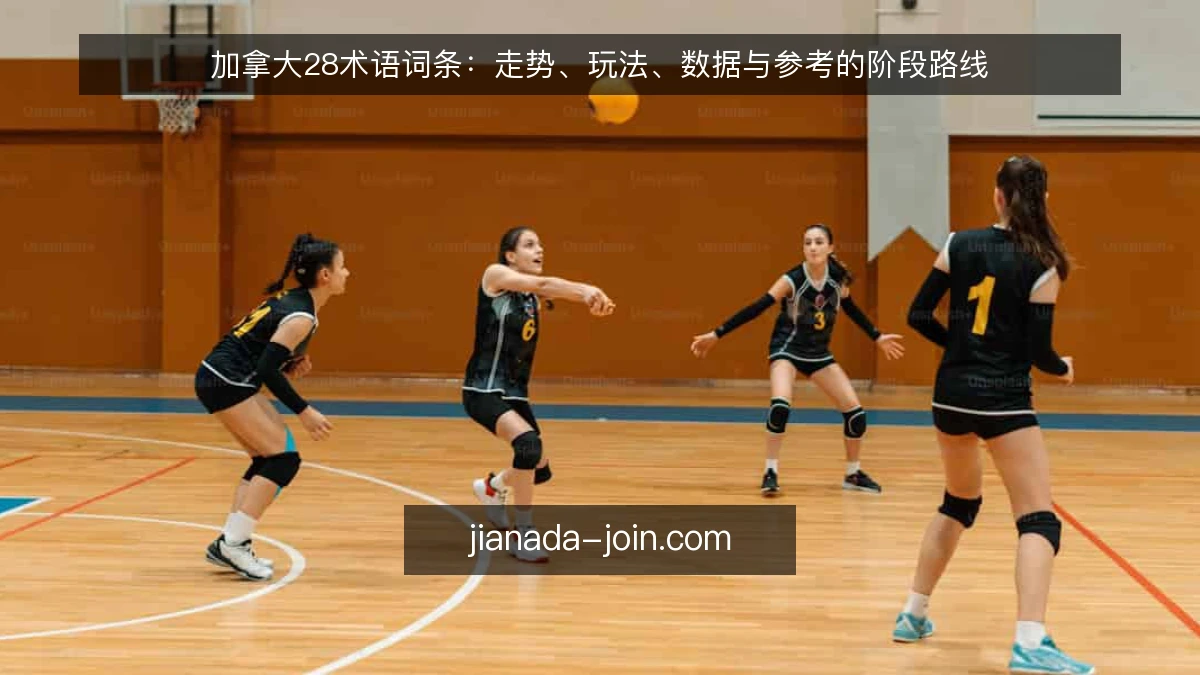 加拿大28术语词条：走势、玩法、数据与参考的阶段路线