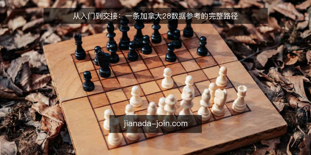 从入门到交接:一条加拿大28数据参考的完整路径 — 起步:从零开始接触加拿大28数据 配图