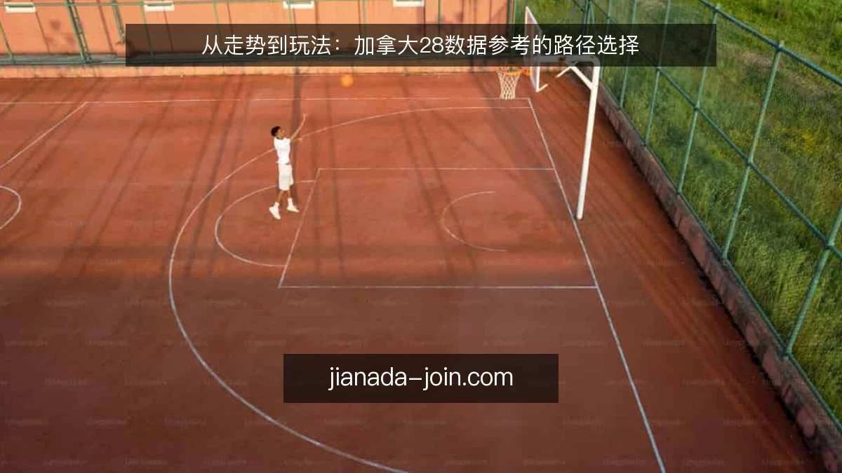从走势到玩法:加拿大28数据参考的路径选择