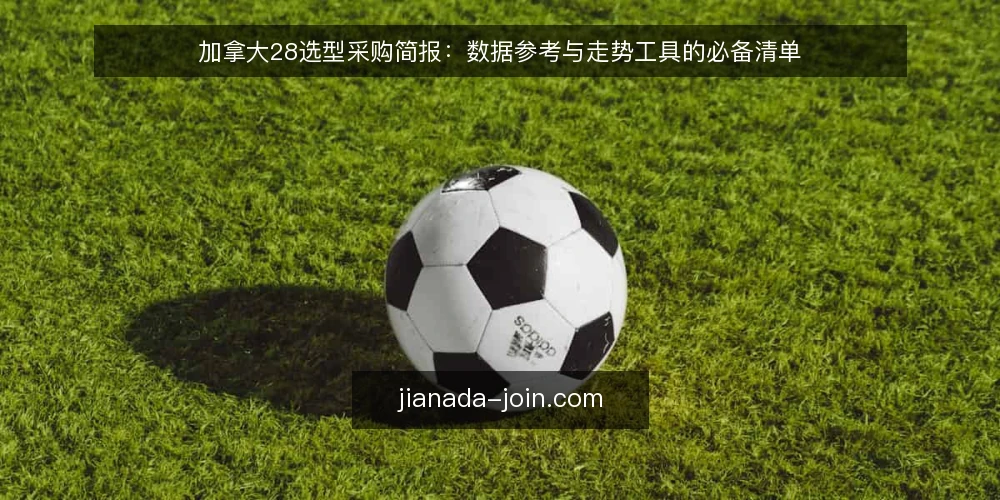 加拿大28选型采购简报：数据参考与走势工具的必备清单 — 先定需求边界：这份采购简报要解决什么 配图