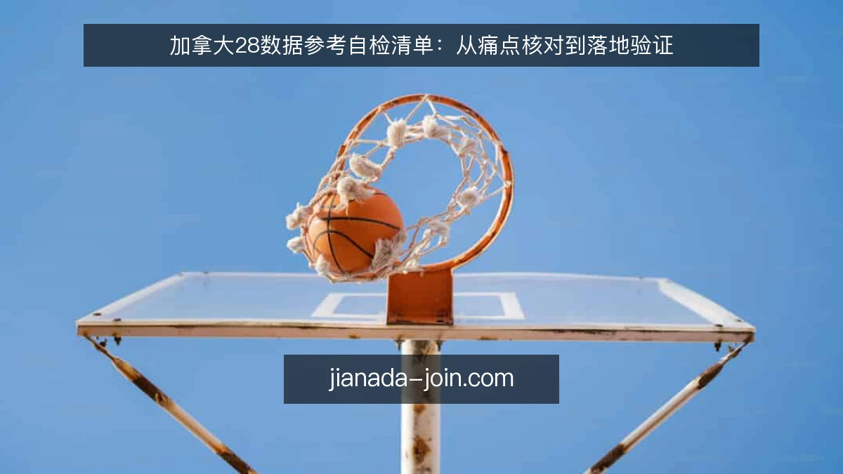 加拿大28数据参考自检清单:从痛点核对到落地验证