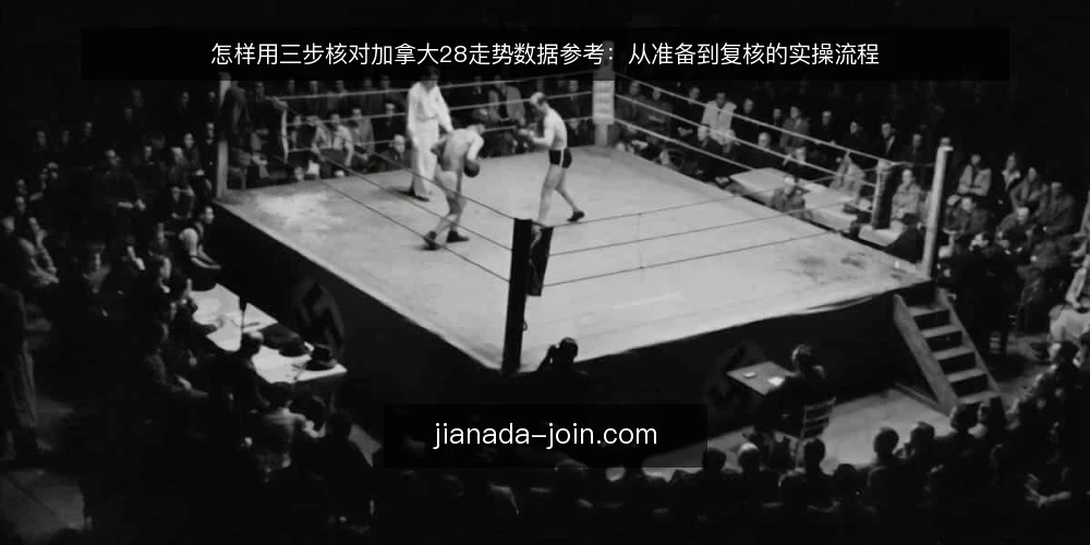 怎样用三步核对加拿大28走势数据参考：从准备到复核的实操流程 — 准备核对所需的输入与边界 配图