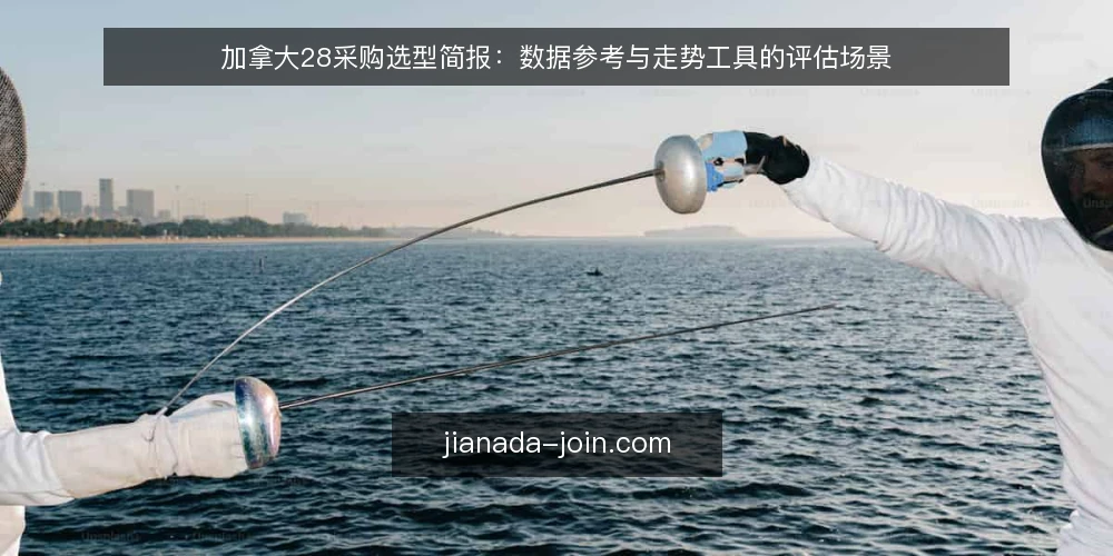加拿大28采购选型简报：数据参考与走势工具的评估场景 — 场景设定：谁在什么情况下需要选型 配图