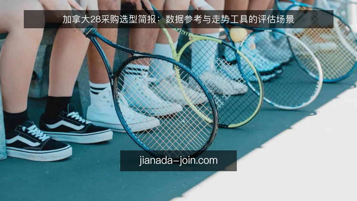 加拿大28采购选型简报：数据参考与走势工具的评估场景