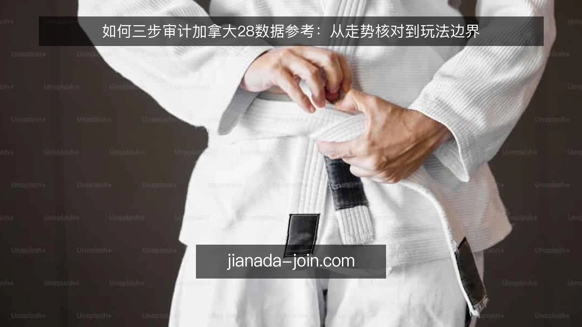 如何三步审计加拿大28数据参考:从走势核对到玩法边界