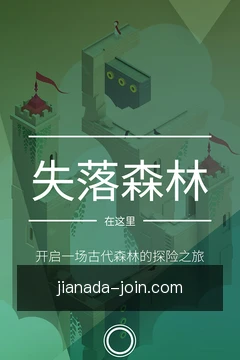 专家方案咨询